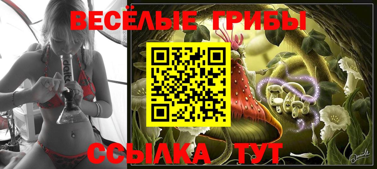 Добрянка  Псилоцибиновые грибы мухоморы  Вход с VPN 