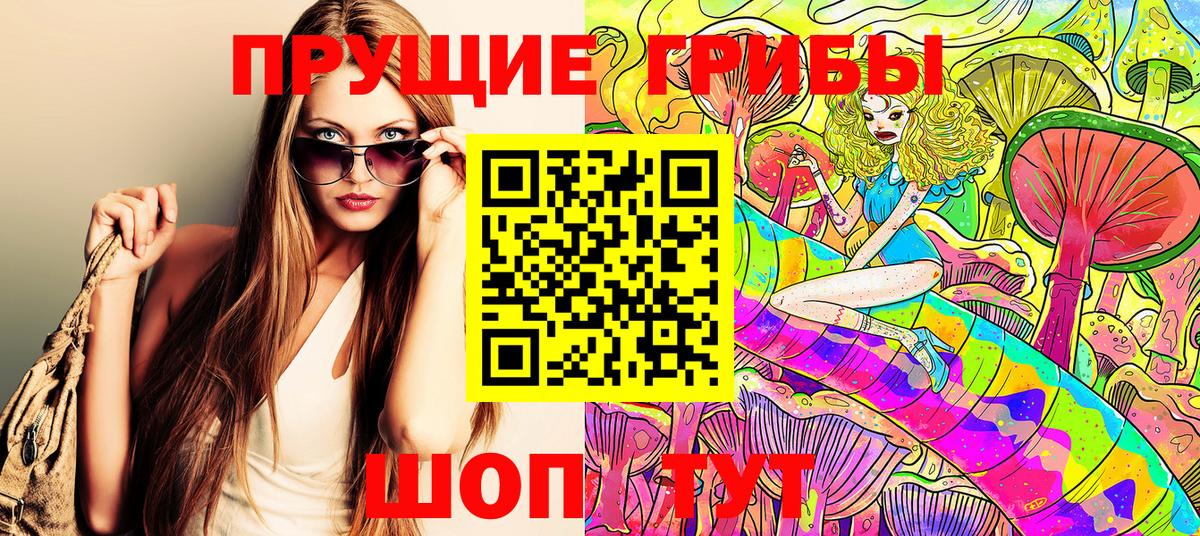 Галлюциногенные грибы Psilocybine cubensis Добрянка